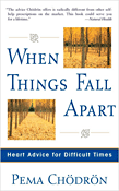 When Things Fall Apart Individual Counseling Madison Valley
