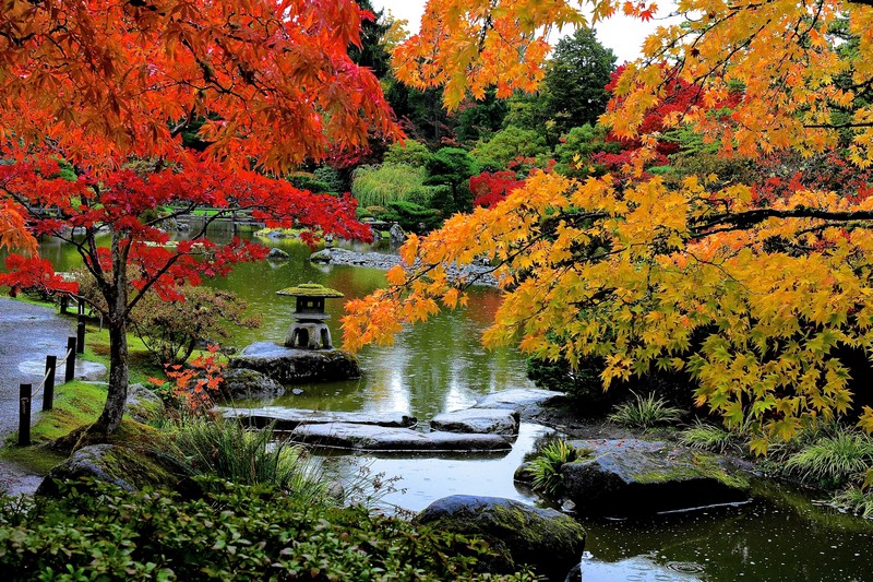 Walk & Talk Therapy at the Seattle Arboretum
