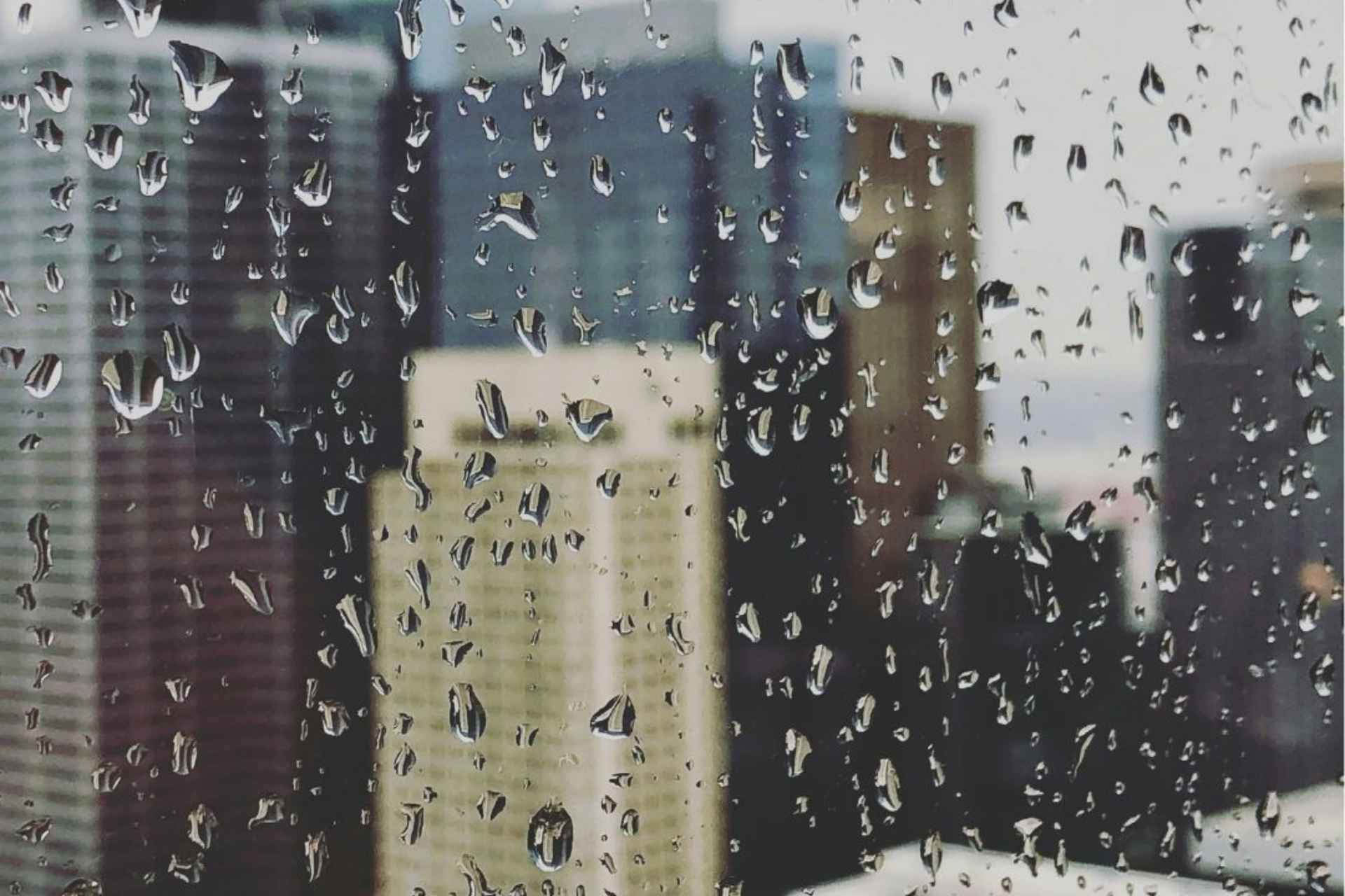 Do I have seasonal affective disorder or depression? What Seattle’s Big Dark can tell you